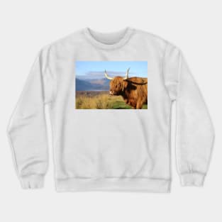 Highland Cow on the Conic Hill Loch Lomond Crewneck Sweatshirt